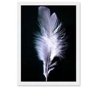 Artery8 Black White Single Feather Bird A4 Artwork Framed Wall Art Print Artery8 White