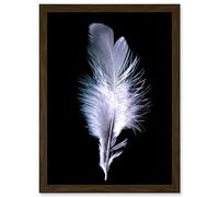 Artery8 Black White Single Feather Bird Artwork Framed A3 Wall Art Print
