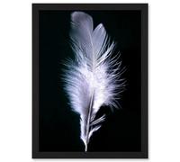 Artery8 Black White Single Feather Bird Wall Art Print - A4 Size