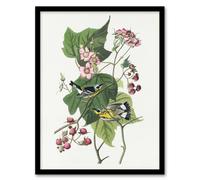 Artery8 Black & Yellow Warblers Audubon Nature Framed Wall Art Print in White | Size: W12" x H16" Artery8 White W12" x H16"