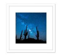Artery8 BLM Night Sky Sonoran Desert Arizona Cactus Silhouettes 8X8 Inch Square Wooden Framed Wall Art Print Picture with Mount in White Artery8 White