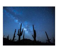 Artery8 BLM Night Sky Sonoran Desert Arizona Cactus Silhouettes Premium Wall Art Canvas Print 18X24 Inch