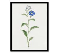 Artery8 Blue Flower Framed Wall Art Print Vintage Japanese Botanical in White | Size: A4 Artery8 White A4