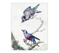 Artery8 Blue Jay & a Purple Breasted Cotinga Schouman Wall Art Poster Print in White | Size: W12" x H16" Artery8 White W12" x H16"