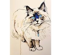 Artery8 Blue Point Ragdoll Cat Sketch Drawing Portrait Extra Large XL Wall Art Poster Print