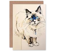 Artery8 Blue Point Ragdoll Cat Sketch for Wife Her Mum Sister Daughter Mom Gran Nan Birthday Mothers Day Thinking of You Blank Art Greeting Card