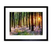 Artery8 Bluebell Wood Sunrise Tree Living Room Home Decor 12x16" Framed Art | Size: W12" x H16" Artery8 Multicolor W12" x H16"