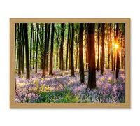 Bluebell Wood Sunrise Trees Photo A4 Artwork Framed Wall Art Print Artery8 Light Oak One Size