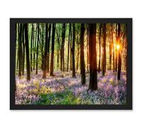 Bluebell Wood Sunrise Trees Photo A4 Artwork Framed Wall Art Print Artery8 Black One Size