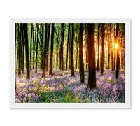 Bluebell Wood Sunrise Trees Photo A4 Artwork Framed Wall Art Print Artery8 White One Size