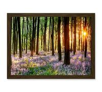 Bluebell Wood Sunrise Trees Photo A4 Artwork Framed Wall Art Print Artery8 Brown One Size