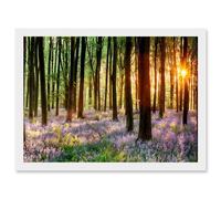 Bluebell Wood Sunrise Trees Photo A4 Artwork Framed Wall Art Print Artery8 White One Size