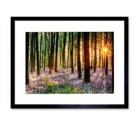Artery8 Bluebell Wood Sunrise Trees Photograph 12x16" Framed Art Print | Size: W12" x H16" Artery8 Multicolor W12" x H16"
