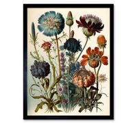 Artery8 Botanical Ernst Haeckel Plant Watercolour Framed Wall Art Print
