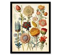 Artery8 Botanical Ernst Haeckel Plant Watercolour Framed Wall Art Print