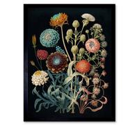 Artery8 Botanical Ernst Haeckel Style Plant Watercolour Framed Wall Art Print