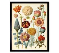 Artery8 Botanical Ernst Haeckel Style Plant Watercolour Framed Wall Art Print