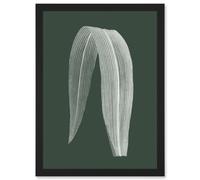 Artery8 Botanics Hunter Folded Leaf Plant Nature Artwork Framed Wall Art Print A4 in Black Artery8 Black