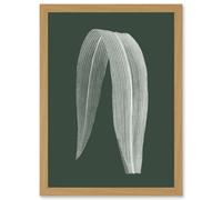 Botanics Hunter Folded Leaf Plant Nature Artwork Framed Wall Art Print A4 Artery8 Light Oak One Size