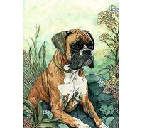 Artery8 Boxer Dog in Flower Field Colourful Watercolour Illustration Large Wall Art Poster Print Thick Paper 18X24 Inch