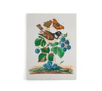 Artery8 Bramble Rubus Starling & Butterflies Bolton Canvas Wall Art | Size: W24" x H32" Artery8 Multicolor W24" x H32"