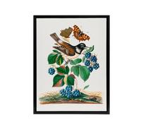 Artery8 Bramble Rubus Starling & Butterflies Bolton Framed Canvas Wall Art | Size: W24" x H32" Artery8 Multicolor W24" x H32"