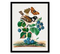 Artery8 Bramble Rubus Starling & Butterflies Bolton Framed Wall Art Print | Size: A4 Artery8 Multicolor A4