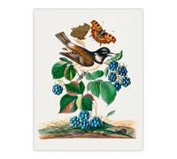 Artery8 Bramble Rubus Starling & Butterflies Bolton Wall Art Poster Print | Size: W18" x H24" Artery8 Multicolor W18" x H24"