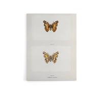 Artery8 Brazilian Lady Vintage Butterfly Artwork Denton Canvas Wall Art Print in White | Size: W18" x H24" Artery8 White W18" x H24"