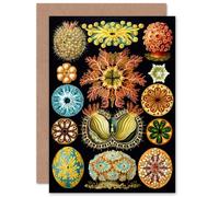 Artery8 Bright Botanical Marine Vintage Retro for Him or Her Man Woman for All Occasions Blank Art Greeting Card