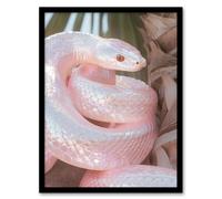 Artery8 Bright Shiny Pink Snake Coiled Under Palm Tree Framed Art Print | Size: W12" x H16" Artery8 Pink W12" x H16"