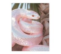 Artery8 Bright Shiny Pink Snake Coiled Under Palm Tree Wall Art Print | Size: W24" x H32" Artery8 Pink W24" x H32"