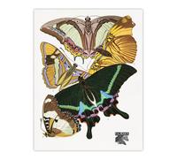 Artery8 Bright Vintage Butterflies Papillons Wall Art Print Eugene Seguy | Size: W18" x H24" Artery8 Multicolor W18" x H24"