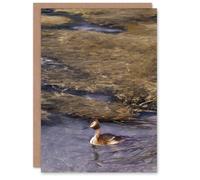 Artery8 Bruno Liljefors Art Card Grebe Bird in Coastal Landscape Artery8 Multicolor