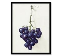 Artery8 Bunch of Blue Grapes Oil Framed Wall Art Print 18X24 Inch Artwork By Jean Bernard : Still Life Grape Painting Perfect For Kitchen Or Dining Area Adding Colour Realism And Warmth