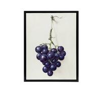 Artery8 Bunch of Blue Grapes Oil Jean Bernard Vintage Framed Canvas Wall Art in White | Size: W12" x H16" Artery8 White W12" x H16"
