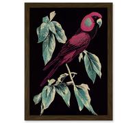 Artery8 Burgundy Parakeet Retro Modern Vintage Tropical Jungle Artwork Framed Wall Art Print A4 in Brown Artery8 Brown