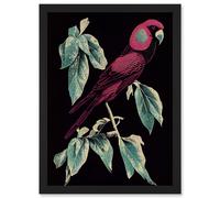 Artery8 Burgundy Parakeet Retro Modern Vintage Tropical Jungle Artwork Framed Wall Art Print A4 in Black Artery8 Black