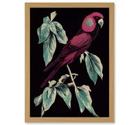 Artery8 Burgundy Parakeet Retro Modern Vintage Tropical Jungle Artwork Framed Wall Art Print A4 in Light Oak Artery8 Light Oak