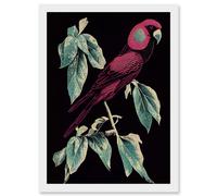 Artery8 Burgundy Parakeet Retro Modern Vintage Tropical Jungle Artwork Framed Wall Art Print A4 in White Artery8 White