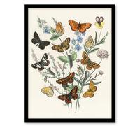 Artery8 Butterflies and Caterpillars Framed Wall Art Print A4 Artwork By Kirby : Colourful Butterfly Artwork Ideal For Bedroom Or Hallway Adding Charm Nature And Visual Interest