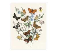 Artery8 Butterflies and Caterpillars XL Extra Large Wall Art Poster Print 24X32 Artwork By Kirby : Colourful Butterfly Artwork Ideal For Bedroom Or Hallway Adding Charm Nature And Visual Interest