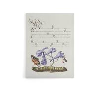 Artery8 Butterfly Caterpillar & Flower Calligraphy Canvas Wall Art Print in White | Size: W18" x H24" Artery8 White W18" x H24"