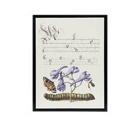 Artery8 Butterfly Caterpillar & Flower Calligraphy Framed Canvas Wall Art in White | Size: W18" x H24" Artery8 White W18" x H24"