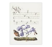 Artery8 Butterfly Caterpillar & Flower Calligraphy Wall Art Poster Print in White | Size: W24" x H32" Artery8 White W24" x H32"