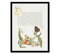 Artery8 Butterfly Cherries & Milkwort Calligraphy Framed Wall Art Print in White | Size: W12" x H16" Artery8 White W12" x H16"