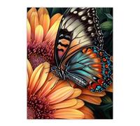 Artery8 Butterfly On Daisy Flowers Pencil Spring Bloom With Insect Macro Close-Up Wing Pattern Vibrant Nature Colourful Bright Floral Modern Artwork Large Wall Art Poster Print Thick Paper 18X24 Inch