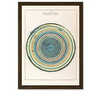 Artery8 Caetani 1855 Map Chart Circles Hell Dante Inferno Divine Comedy Artwork Framed A3 Wall Art Print