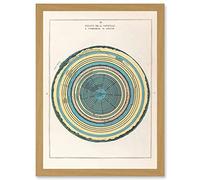 Artery8 Caetani 1855 Map Chart Circles Hell Dante Inferno Divine Comedy Artwork Framed Wall Art Print A4