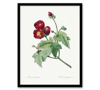 Artery8 Callirhoe Poppy Mallow Flower Wall Art Print Framed Poster 12x16 inch Artwork By Redoute : Graceful Wildflower Print Adding Warmth And Charm To Tranquil Bedroom Or Hall